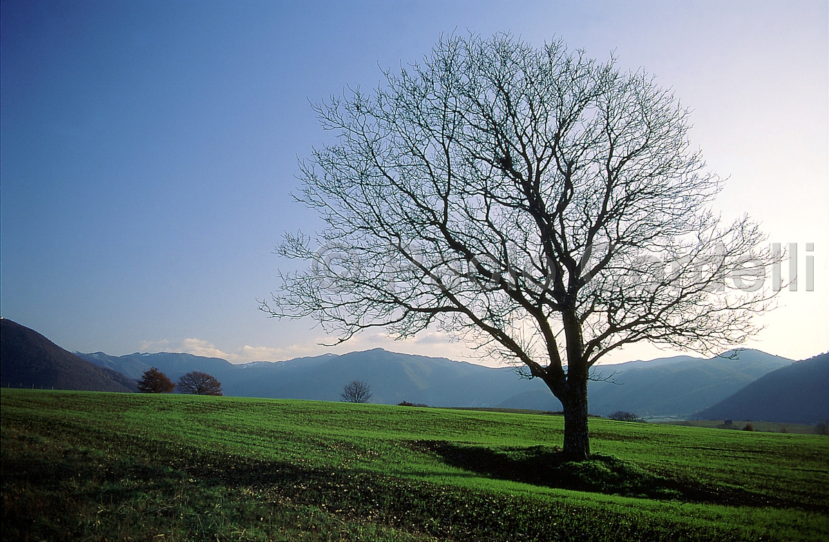 Abruzzo, Italy
 (cod:Abruzzo 09)